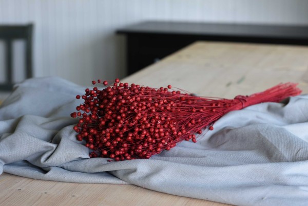 Seitliche Ansicht Flachs in Rubin-Rot gefärbt auf einem Holztisch liegend