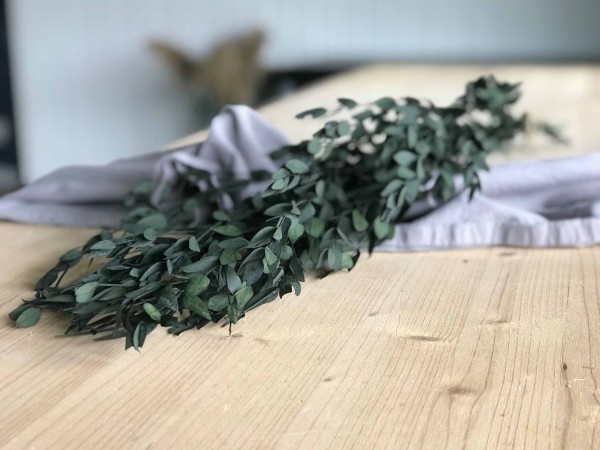 Seitliche Ansicht Bund Eukalyptus in grün auf einem Holztisch liegend
