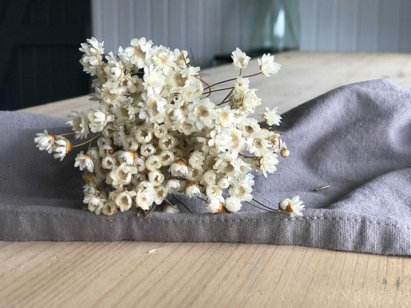 Detailaufnahme Glixia Trockenblumen in weiß, beige auf einem Holztisch liegend